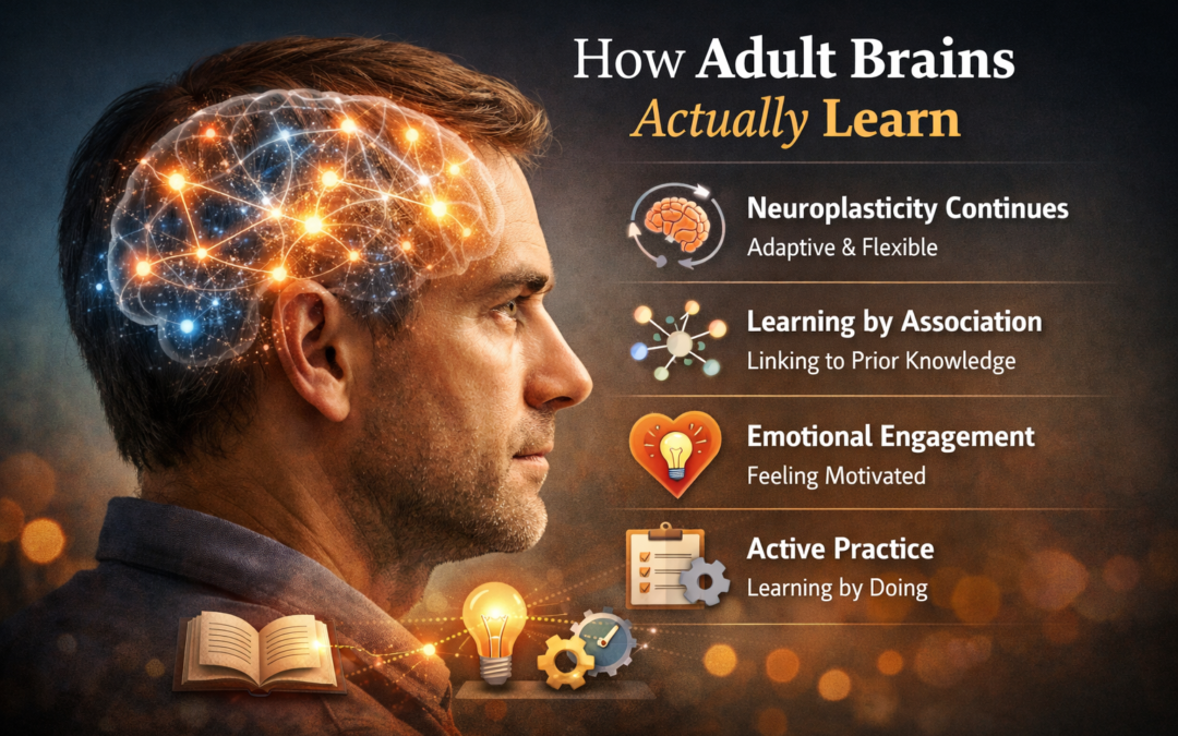 How Adult Brains Actually Learn
